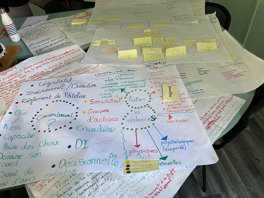 Photo représentatn le travail collaboratif réalisé à l'occasion de cette journée de sensibilisation à la VIAS